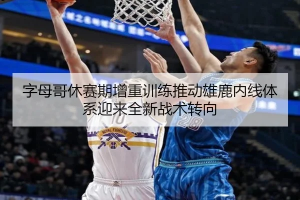 字母哥休赛期增重训练推动雄鹿内线体系迎来全新战术转向